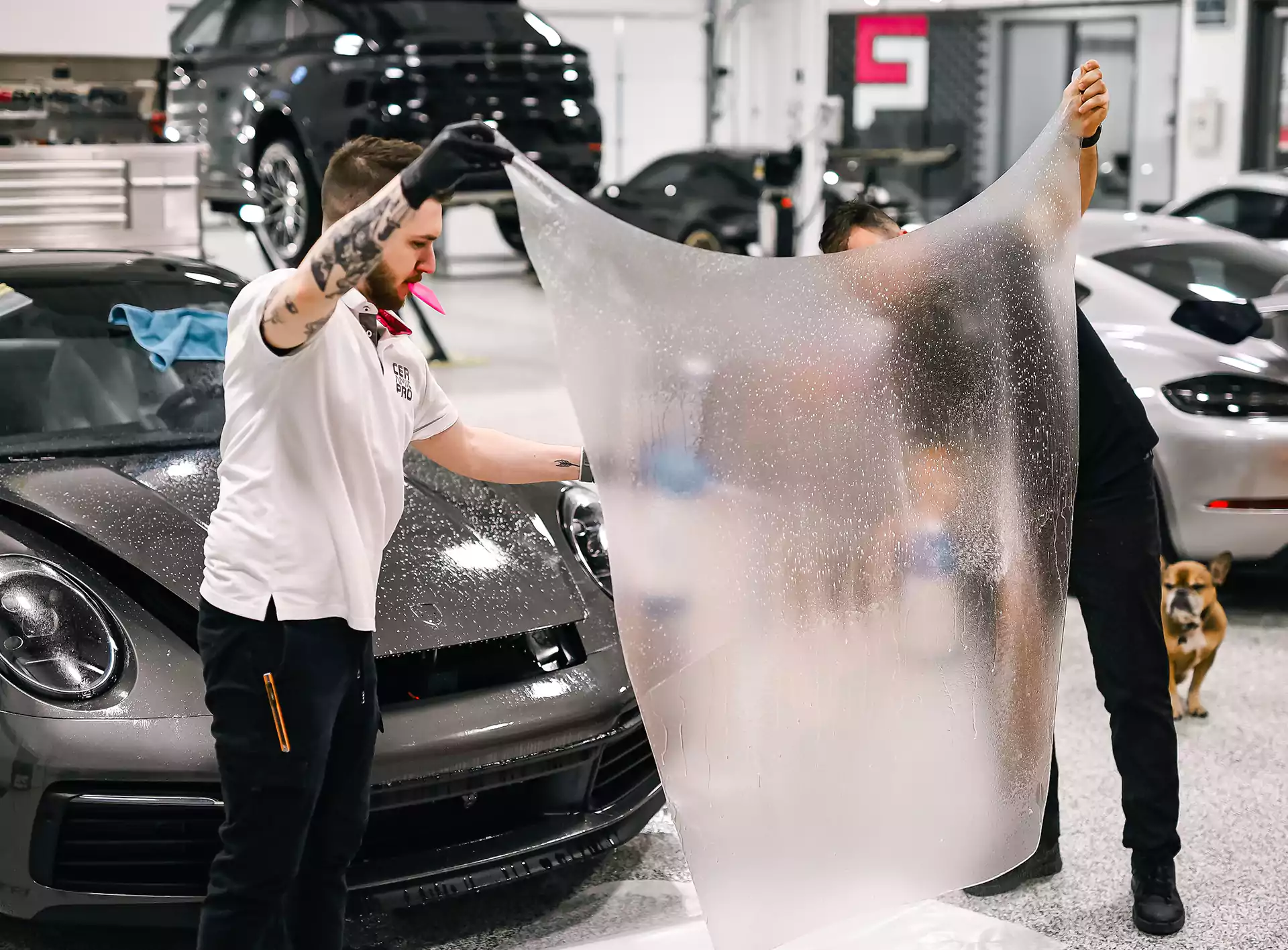 Paint Protection Film (PPF)